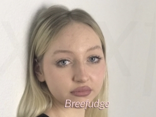 Breefudge