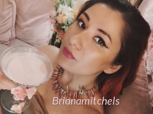 Brianamitchels
