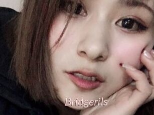Bridgerils