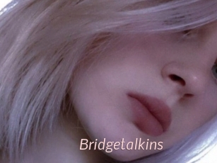 Bridgetalkins