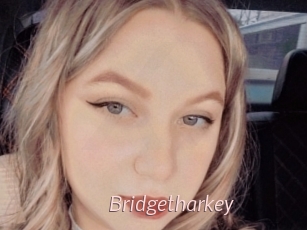 Bridgetharkey