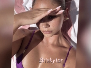 Briskylar
