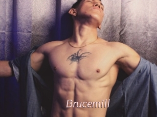 Brucemill