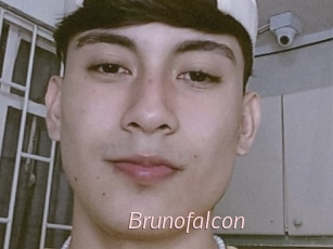 Brunofalcon