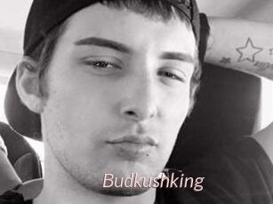 Budkushking