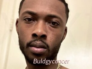 Buldgycancer