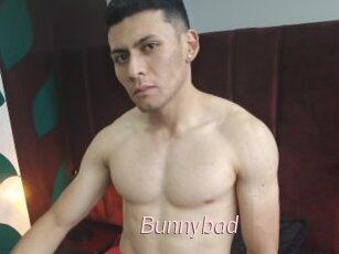 Bunnybad