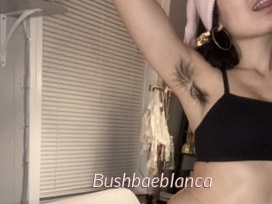 Bushbaeblanca