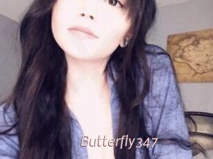 Butterfly347