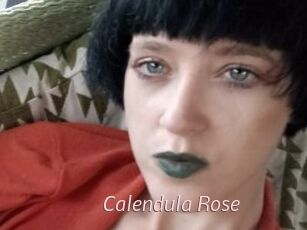 Calendula_Rose