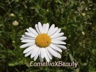 Camellia_XBeauty