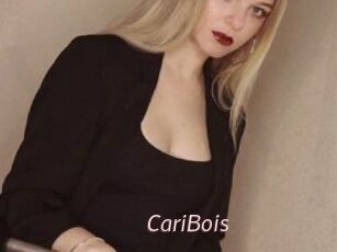 CariBois