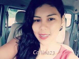 Carlina23