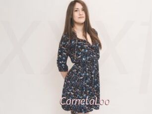 CarnetaLoo