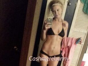 Cashmerebunny