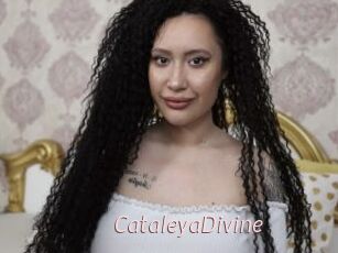 CataleyaDivine xxx Free Sites