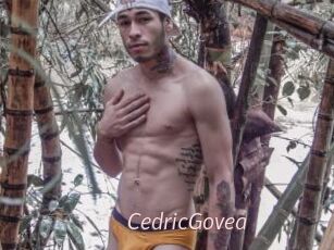CedricGovea