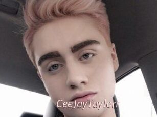 CeeJayTaylorr