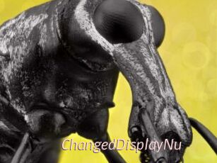 ChangedDisplayNu