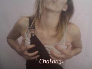 Chaton31