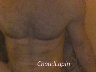 ChaudLapin