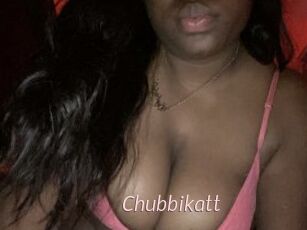 Chubbikatt