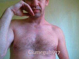 Ciumegul1977