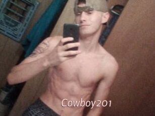 Cowboy201