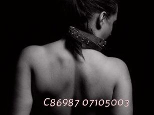 C86987-07105003