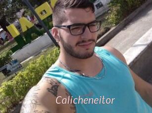 Calicheneitor