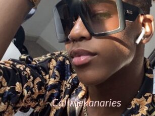 Callmekanaries