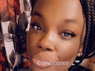 Candicanee