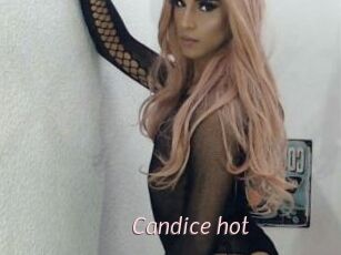 Candice_hot