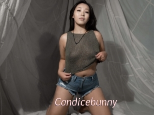 Candicebunny