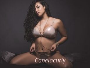 Canelacurly