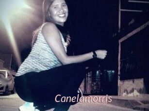 Canelamorris