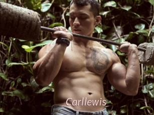 Carllewis
