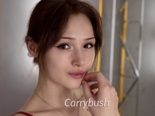 Carrybush