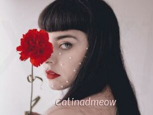 catinadmeow xxx Free Sites