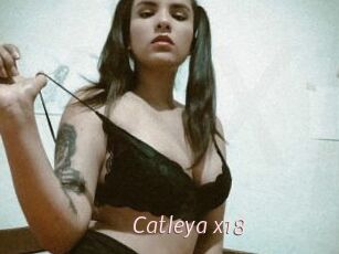 Catleya_x18