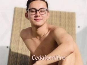Ceddiecollins