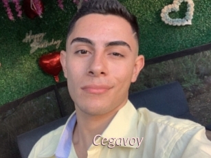 Cegavoy
