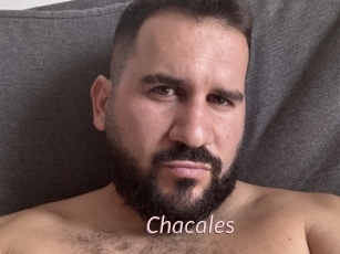 Chacales