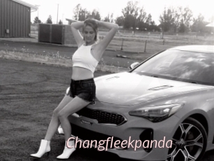Changfleekpanda