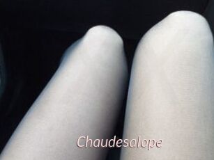 Chaudesalope