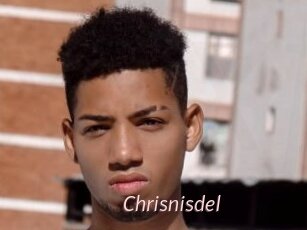 Chrisnisdel