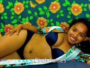 Cindybarnes