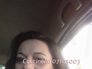 Coccinella-07105003