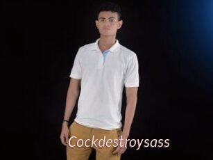 Cockdestroysass