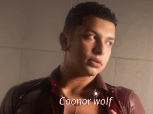 Coonor_wolf